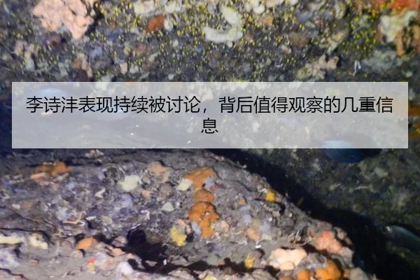 李诗沣表现持续被讨论，背后值得观察的几重信息