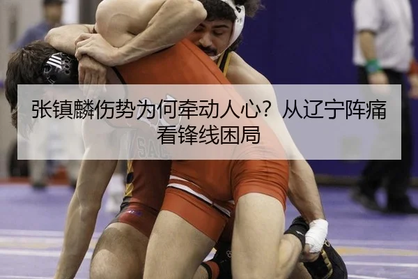 张镇麟伤势为何牵动人心？从辽宁阵痛看锋线困局